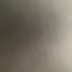 Meet your Posher, Kelli